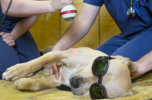 Laser Therapy 2