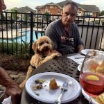 dog at patio table