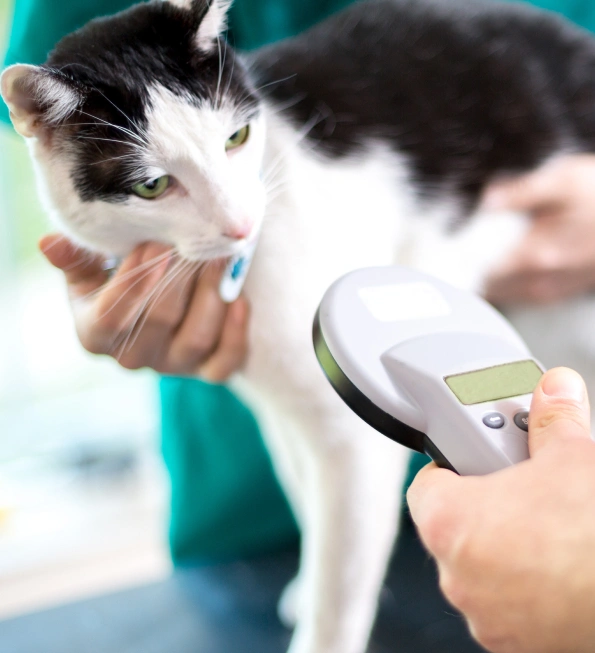 Cat Microchips