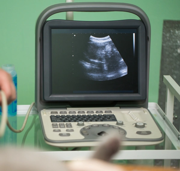 Dog Ultrasound