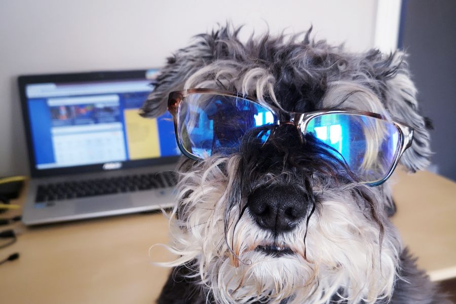 Laser Therapy Benefits