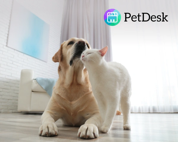 PetDesk App