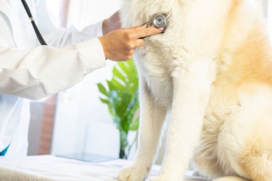 Urgent Care